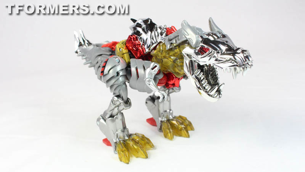 SDCC 2014   G1 Dinobots Exclusives Video Review And Images Transformers Age Of Extinction  (18 of 69)